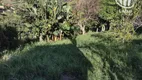 Foto 24 de Fazenda/Sítio com 3 Quartos à venda, 250m² em Jardim Santa Edwirges, Pedreira