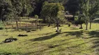 Foto 21 de Fazenda/Sítio com 6 Quartos à venda, 200m² em , Mandirituba