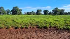 Foto 16 de Fazenda/Sítio com 7 Quartos à venda, 1000m² em , Jussara