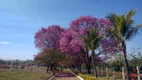 Foto 16 de Fazenda/Sítio com 5 Quartos à venda, 600m² em Guarapó, Tatuí