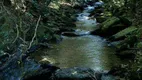 Foto 13 de Fazenda/Sítio à venda, 400m² em Zona Rural, Pilar do Sul