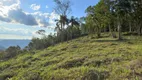 Foto 7 de Lote/Terreno à venda, 20m² em Linha Olinda, Nova Petrópolis