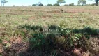 Foto 3 de Fazenda/Sítio com 1 Quarto à venda, 26000m² em Zona Rural, Uberlândia