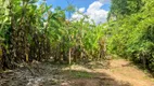 Foto 15 de Fazenda/Sítio com 2 Quartos à venda, 11m² em Zona Rural, Colinas do Sul
