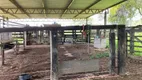 Foto 16 de Fazenda/Sítio com 4 Quartos à venda, 350m² em Centro, São Miguel do Passa Quatro