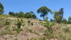 Foto 6 de Fazenda/Sítio com 2 Quartos à venda, 3000m² em Santa Cruz, Juiz de Fora