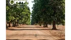 Foto 7 de Fazenda/Sítio com 4 Quartos à venda, 12000000m² em Zona Rural, Primavera do Leste