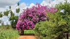 Foto 13 de Fazenda/Sítio com 3 Quartos à venda, 180000m² em Area Rural de Planaltina, Brasília