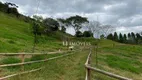 Foto 19 de Fazenda/Sítio com 3 Quartos à venda, 800m² em Centro, Três Rios