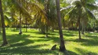 Foto 11 de Fazenda/Sítio com 6 Quartos à venda, 200m² em , Marechal Deodoro