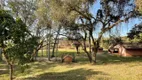 Foto 70 de Fazenda/Sítio com 3 Quartos à venda, 36000m² em Chácara Ipês , Caçapava