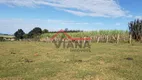 Foto 3 de Fazenda/Sítio à venda, 118580m² em , Angatuba