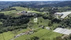 Foto 7 de Imóvel Comercial à venda, 30000m² em Zona Rural, Flores da Cunha