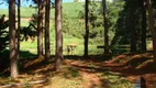 Foto 25 de Galpão/Depósito/Armazém à venda, 4000m² em Zona Rural, Cunha