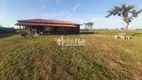 Foto 20 de Fazenda/Sítio com 4 Quartos à venda, 135m² em Area Rural de Uberlandia, Uberlândia