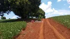 Foto 4 de Lote/Terreno à venda, 20000m² em Usina Três Bocas, Londrina