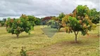 Foto 41 de Fazenda/Sítio com 4 Quartos à venda, 400m² em , Brasília