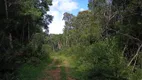 Foto 8 de Fazenda/Sítio à venda, 20000m² em Rancho Alegre, Campina Grande do Sul