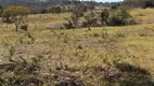 Foto 12 de Fazenda/Sítio à venda, 1694000m² em Zona Rural, Piracanjuba