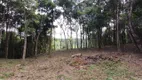 Foto 8 de Fazenda/Sítio com 1 Quarto à venda, 20000m² em São Luiz do Purunã, Balsa Nova