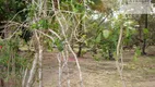 Foto 20 de Fazenda/Sítio com 3 Quartos à venda, 300m² em Carne de Vaca, Goiana