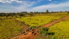 Foto 35 de Fazenda/Sítio com 3 Quartos à venda, 300m² em Zona Rural, Luziânia