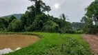 Foto 11 de Lote/Terreno à venda, 25000m² em Pinhal Alto, Nova Petrópolis