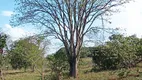 Foto 25 de Fazenda/Sítio à venda em Zona Rural, Pirenópolis