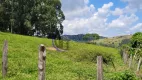 Foto 35 de Fazenda/Sítio com 2 Quartos à venda, 70000m² em CANELAU, Munhoz