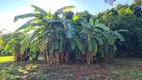 Foto 2 de Fazenda/Sítio com 4 Quartos à venda, 600m² em Bananal, Campinas