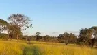 Foto 14 de Fazenda/Sítio à venda, 1839200m² em Zona Rural, Iporá