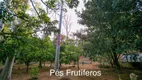 Foto 48 de Fazenda/Sítio com 7 Quartos à venda, 841m² em Chacara Morada Mediterranea, Jundiaí