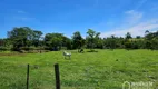 Foto 39 de Fazenda/Sítio com 2 Quartos para venda ou aluguel, 70000m² em Centro, Nova Esperança