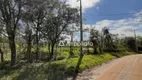 Foto 2 de Fazenda/Sítio à venda, 2000m² em , Campina Grande do Sul