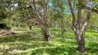 Foto 2 de Fazenda/Sítio com 3 Quartos à venda, 331m² em Zona Rural, Jijoca de Jericoacoara