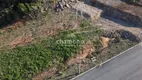 Foto 2 de Lote/Terreno à venda, 699m² em , Flores da Cunha