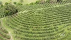 Foto 14 de Fazenda/Sítio com 1 Quarto à venda, 183920m² em , Espírito Santo do Pinhal