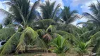 Foto 7 de Fazenda/Sítio à venda, 150000m² em Cobe de Cima, Vera Cruz