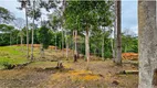 Foto 44 de Lote/Terreno à venda em Tarumã, Manaus