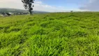 Foto 10 de Fazenda/Sítio com 3 Quartos à venda, 200m² em Zona Rural, Quadra