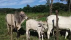 Foto 7 de Fazenda/Sítio com 2 Quartos à venda em Zona Rural, Montes Claros