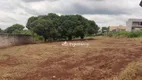 Foto 3 de Lote/Terreno para venda ou aluguel, 7000m² em Monte Belo, Londrina