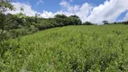 Foto 5 de Fazenda/Sítio à venda, 5500m² em Zona Rural, Marmelópolis