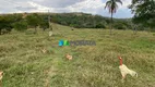 Foto 15 de Fazenda/Sítio com 5 Quartos à venda, 80m² em Zona Rural, Cordisburgo