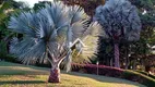 Foto 27 de Fazenda/Sítio com 4 Quartos à venda, 24000m² em Zona Rural, Socorro