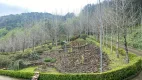 Foto 5 de Fazenda/Sítio à venda, 90000m² em Linha Bonita, Gramado