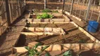 Foto 6 de Fazenda/Sítio com 4 Quartos à venda, 400m² em Chácara Recreio Nossa Senhora do Líbano Zona Rural , São José do Rio Preto