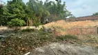 Foto 4 de Lote/Terreno à venda, 1410m² em Adrianópolis, Manaus