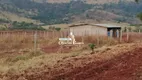 Foto 5 de Fazenda/Sítio com 2 Quartos à venda, 500m² em Setor Central, Ouro Verde de Goiás