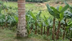 Foto 9 de Fazenda/Sítio com 3 Quartos à venda, 60m² em Centro, Juquiá